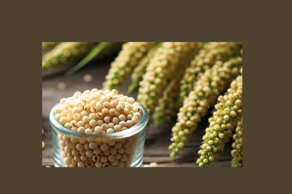 what are millets Millets