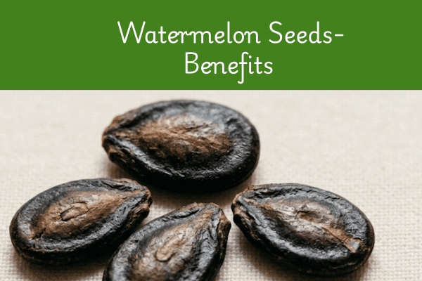 watermelon seeds benefits for female complete guide