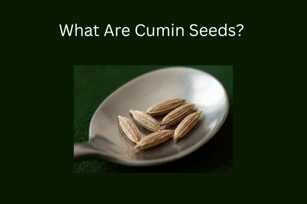 What Are Cumin Seeds?