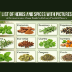 List of Herbs And Spices Names With Pictures
