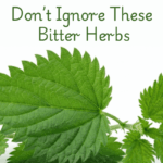 8 powerful Bitter herbs list, uses, weight loss, benefits