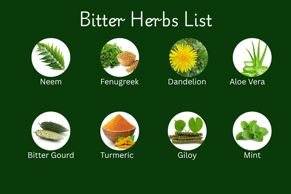 8 Common Bitter Herbs List