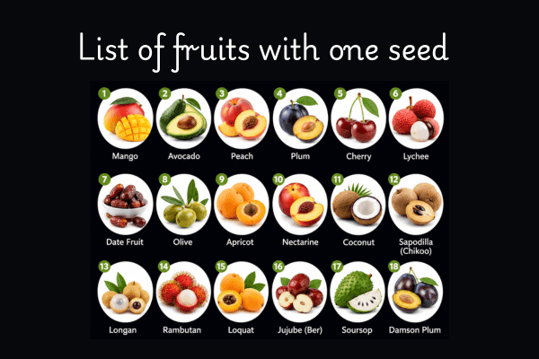 List of fruits with one seed: Names, Pictures