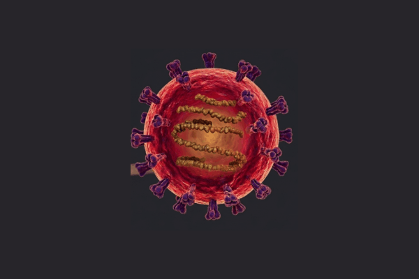 What Exactly Is Hantavirus?